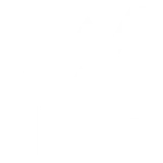 WMF logo